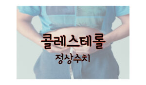 콜레스테롤 정상수치