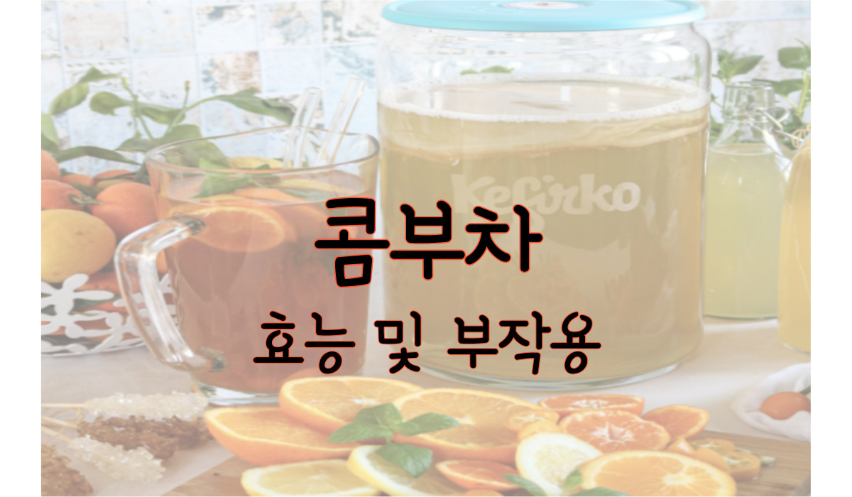 콤부차 효능